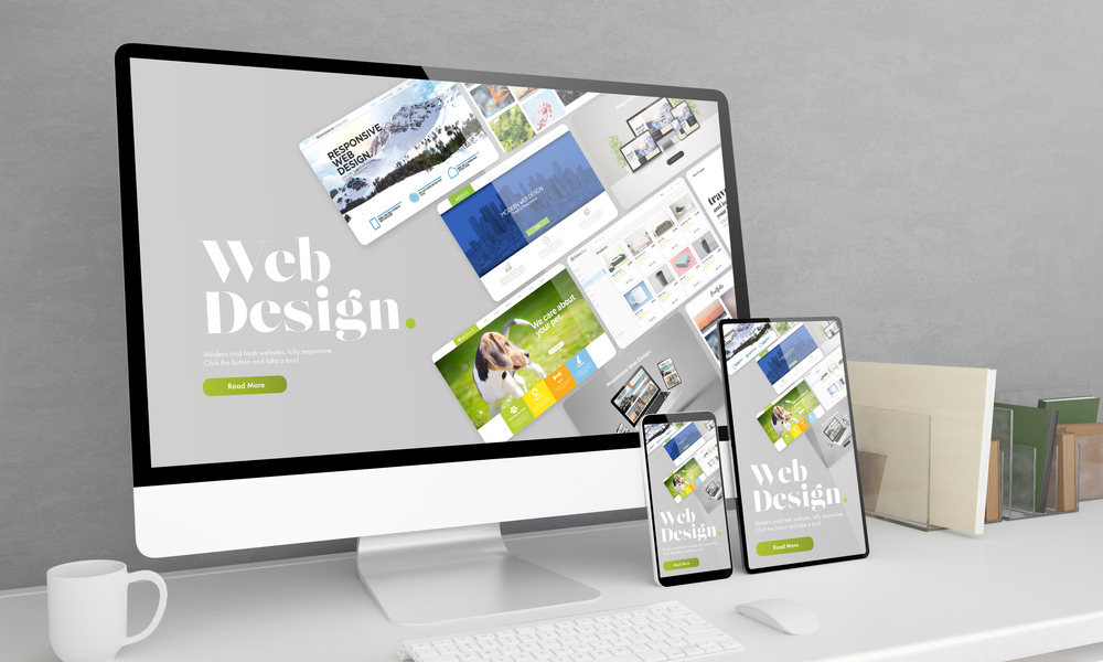 What is the responsibility of a professional website designer?
