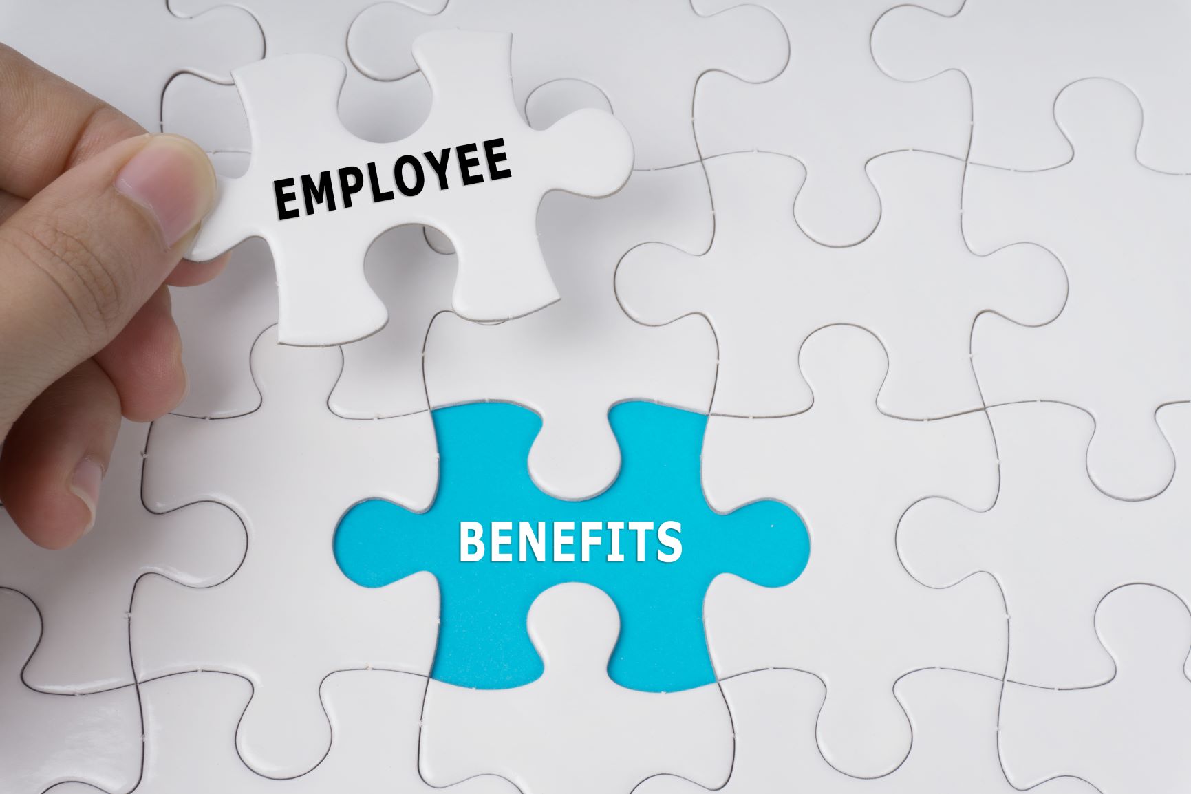 ‘Salary' or employee 'benefit' - Which is the judicious investment for business?
