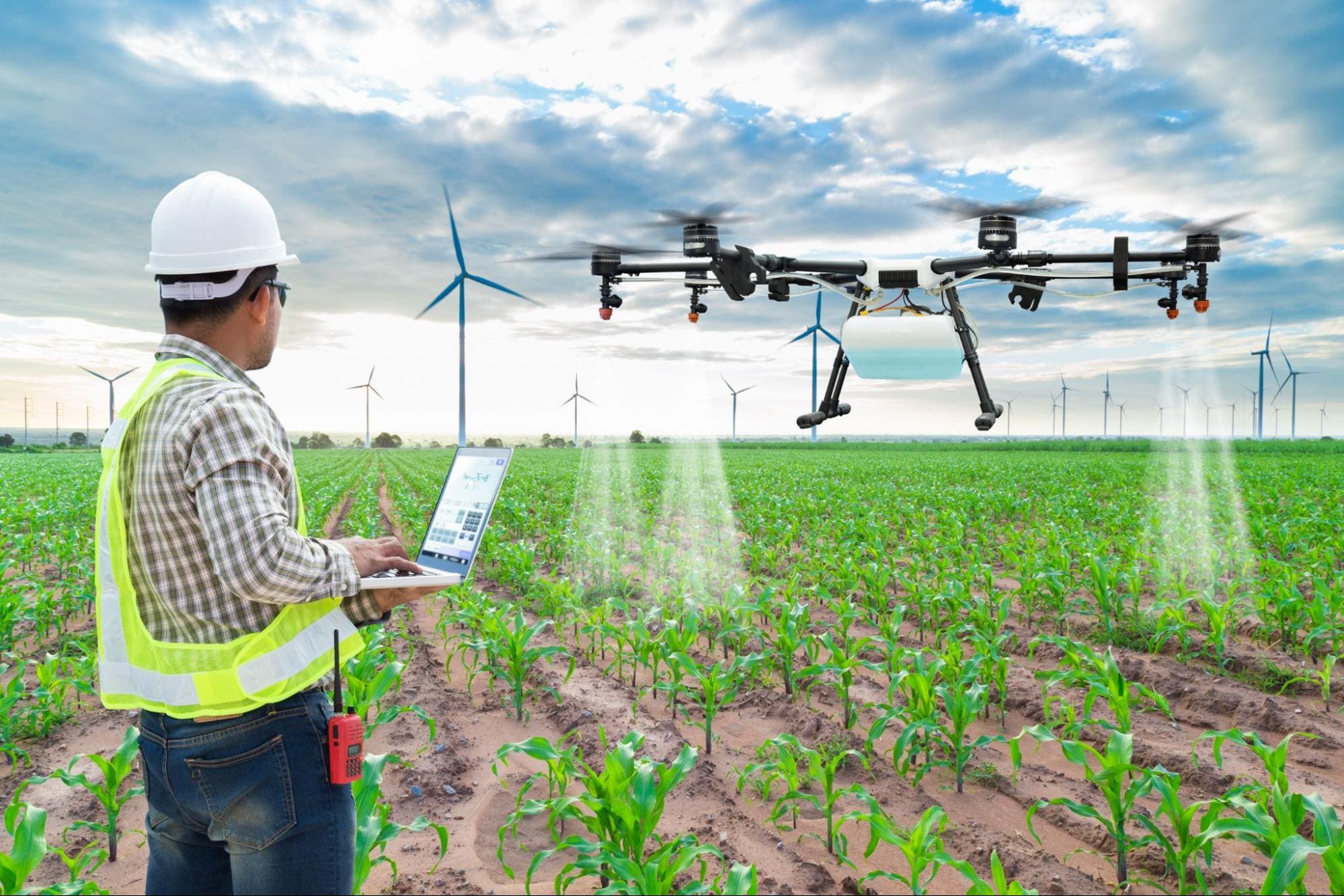What is an agricultural engineer? Current job opportunities and attractive salaries