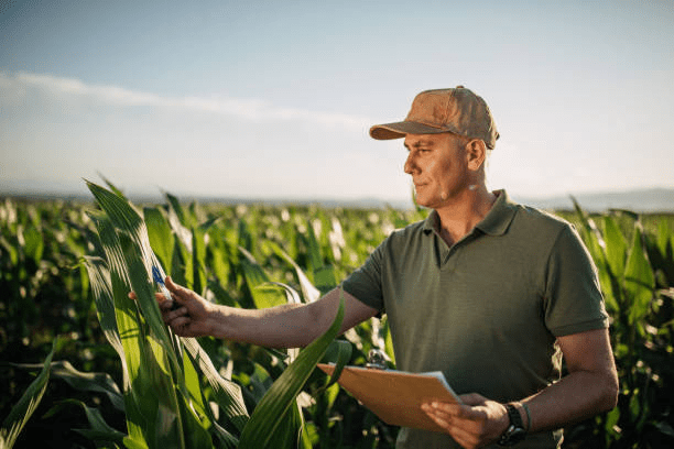 Vì sao bạn nên chọn công việc kỹ sư nông nghiệp?